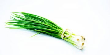 Daun Lokio Kaya Akan Kandungan Nutrisi, Inilah 5 Manfaatnya untuk Kesehatan