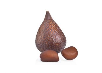 Tak Hanya Buahnya, Cek Disini Manfaat Konsumsi Biji Salak untuk Kesehatan