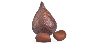 Tak Hanya Buahnya, Cek Disini Manfaat Konsumsi Biji Salak untuk Kesehatan