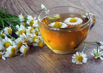 Batasi Asupannya, Ketahui 5 Efek Samping Konsumsi Teh Chamomile Berlebihan