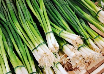 Tak Selalu Baik! Konsumsi Daun Bawang Memicu Timbulnya Efek Samping, Ini Penjelasannya