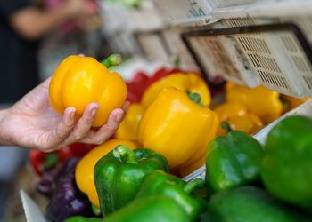 Tak Selalu Baik, Konsumsi Paprika Kuning Secara Berlebihan Bisa Memicu Efek Samping, Cek!