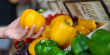 Tak Selalu Baik, Konsumsi Paprika Kuning Secara Berlebihan Bisa Memicu Efek Samping, Cek!