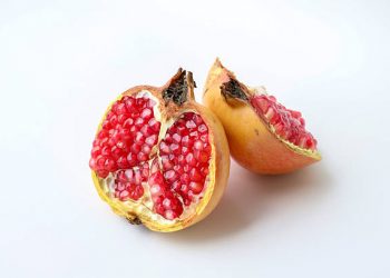 Ampuh Mencerahkan hingga Atasi Peradangan, Inilah Manfaat Tersembunyi Buah Delima untuk Dunia Kecantikan