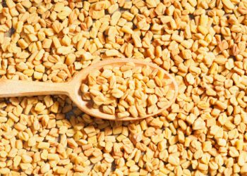 Ketahui 7 Manfaat Biji Kedawung untuk Kesehatan, Bisa Atasi Cacingan