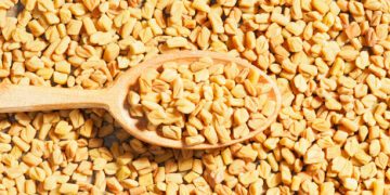 Ketahui 7 Manfaat Biji Kedawung untuk Kesehatan, Bisa Atasi Cacingan