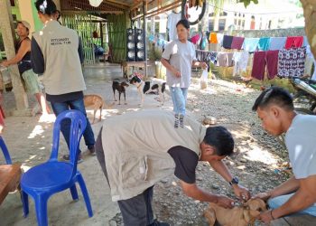 Putus Rantai Penularan, Dinas Pertanian Seluma Gencarkan Vaksinasi Rabies ke Desa-desa