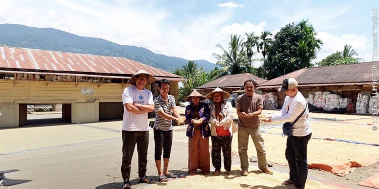 Pastikan Petani Terima Harga Gabah Rp 6.500/Kg, Bulog Bengkulu Turun ke Pengololahan Padi