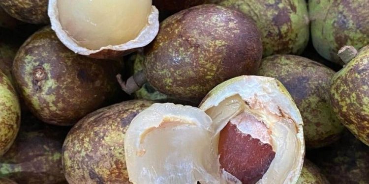Bukan Buah Biasa, Cek di Sini 5 Manfaat Matoa untuk Kesehatan
