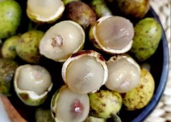 Rawat Kecantikan Kulitmu dengan Gunakan Buah Matoa, Intip Disini Ragam Manfaatnya!