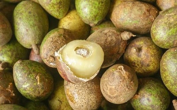 Jangan Anggap Sepele! Konsumsi Matoa Berlebihan Memicu Timbulnya 3 Efek Samping