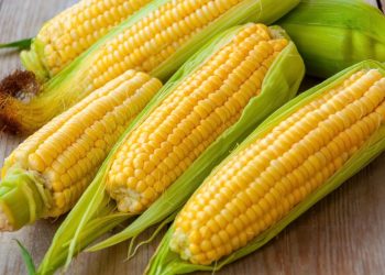 Wow! Klaim Disini 5 Manfaat Istimewa Jagung untuk Kecantikan, Bantu Haluskan Kulit