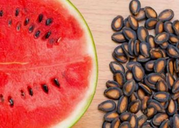 Jangan Dibuang! Intip Disini Ragam Manfaat Biji Semangka untuk Kesehatan