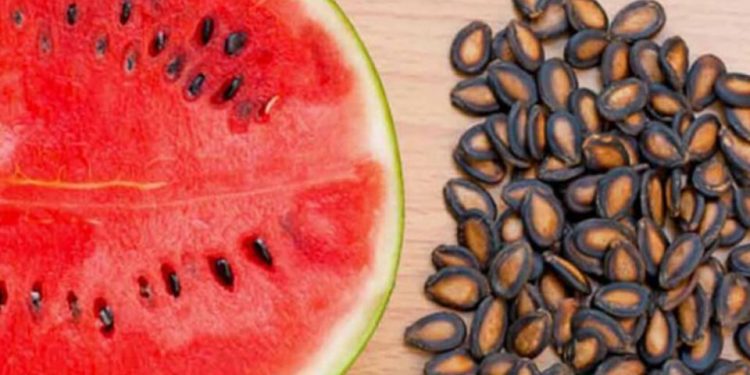 Jangan Dibuang! Intip Disini Ragam Manfaat Biji Semangka untuk Kesehatan