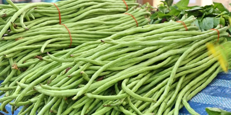 Cocok Dijadikan MPASI, Kenali Sederet Manfaat Kacang Panjang untuk Bayi