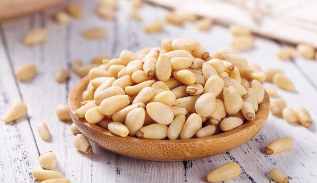 Tak Hanya Sekedar Camilan, Ternyata Ini 5 Manfaat Kacang Pinus untuk Kesehatan