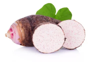 Rawat Kecantikan Kulitmu dengan Gunakan Masker Umbi Talas, Cek Disini Manfaatnya!