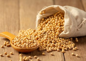 Konsumsi Kacang Kedelai Berlebihan dapat Memicu Timbulnya Efek Samping, Ayo Pahami!