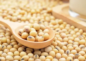 Sering Konsumsi Kacang Kedelai? Cek Disini 7 Manfaatnya untuk Kesehatan Tubuh