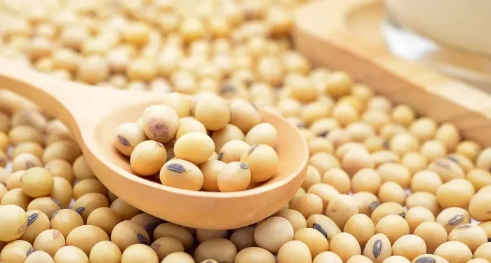 Sering Konsumsi Kacang Kedelai? Cek Disini 7 Manfaatnya untuk Kesehatan Tubuh