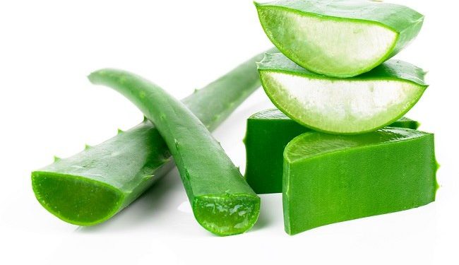 Jarang Diketahui, Cek Disini Tawaran Manfaat Lidah Buaya untuk Menjaga Kesehatan Rambut