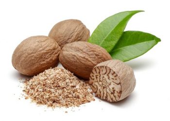 Cek Disini! 5 Manfaat Buah Pala untuk Kesehatan, Apa Saja?