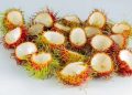 Ini 5 Tawaran Manfaat Terbaik Kulit Rambutan untuk Kesehatan Tubuh, Cek!