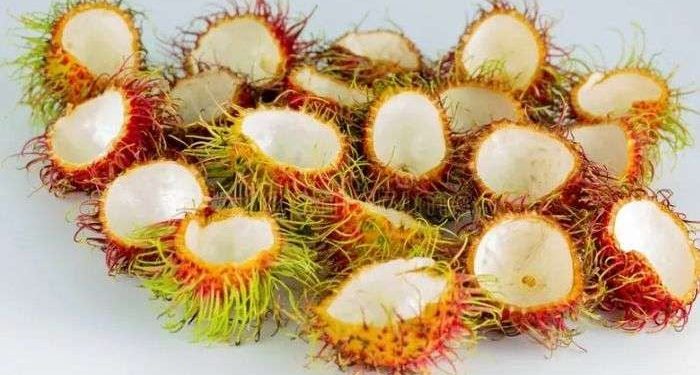 Ini 5 Tawaran Manfaat Terbaik Kulit Rambutan untuk Kesehatan Tubuh, Cek!