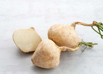 Buah Bengkoang Baik untuk Dikonsumsi Penderita Maag, Cek Disini Manfaatnya untuk Kesehatan