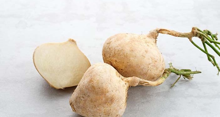 Buah Bengkoang Baik untuk Dikonsumsi Penderita Maag, Cek Disini Manfaatnya untuk Kesehatan