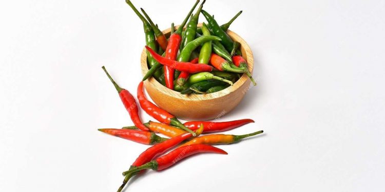 Tak Sama, Ini Ragam Jenis Cabai Rawit yang Perlu Diketahui, Salah Satunya Rawit Merah
