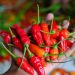 Cabai Rawit Ternyata Baik untuk Tingkatkan Sistem Imun, Ini 5 Manfaatnya untuk Kesehatan