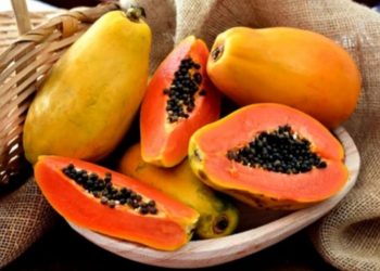 5 Jenis Makanan Ini Tidak Boleh Dikonsumsi Bersama Pepaya, Terutama Makanan Pedas