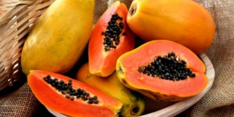 5 Jenis Makanan Ini Tidak Boleh Dikonsumsi Bersama Pepaya, Terutama Makanan Pedas