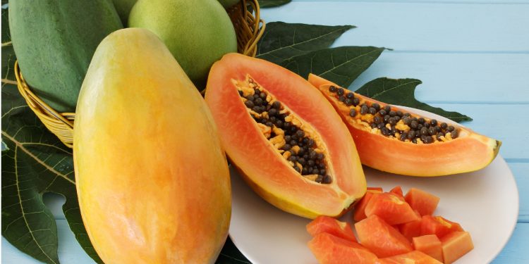 Ini Ragam Manfaat yang Ditawarkan Buah Pepaya untuk Kesehatan, Bantu Lancarkan Pencernaan