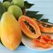 Ini Ragam Manfaat yang Ditawarkan Buah Pepaya untuk Kesehatan, Bantu Lancarkan Pencernaan