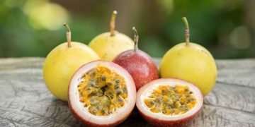 Taukah Kamu? Markisa Bisa Dijadikan Masker untuk Merawat Kecantikan Kulit, Klami Disini Manfaatnya!