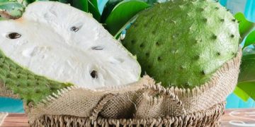 Kurangi Flek Hitam hingga Melembabkan Kulit, Ini Manfaat Istimewa Sirsak untuk Dunia Kecantikan