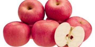 Ini Manfaat Apel Fuji untuk Kesehatan, Bagus Dikonsumsi Pagi Hari
