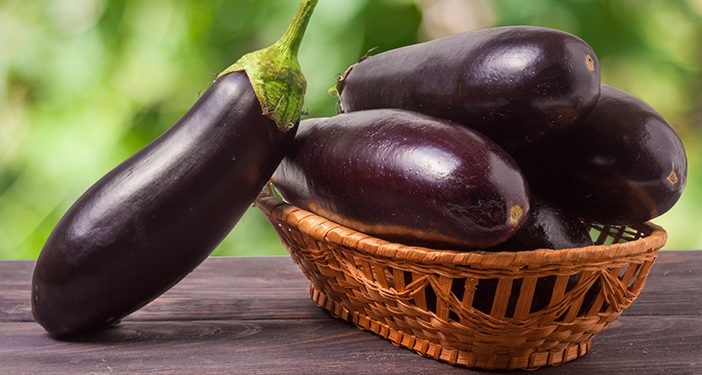 Ingin Punya Tubuh Ideal? Cobalah Konsumsi Terong Ungu, Ini Manfaatnya untuk Kesehatan