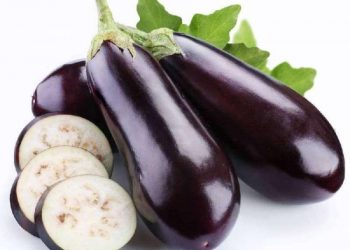 Sederet Mitos dan Fakta Terong Ungu yang Cukup Mengejutkan, Penasaran? Ini Jawabannya!