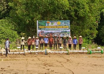 Bersama Masyarakat, Kodim 0425/Seluma Tanam Padi Perdana Program Cetak Sawah Rakyat di Desa Air Keruh
