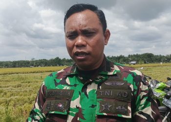 Progres Pembangunan Koperasi Desa Merah Putih di Seluma Capai 76 Titik