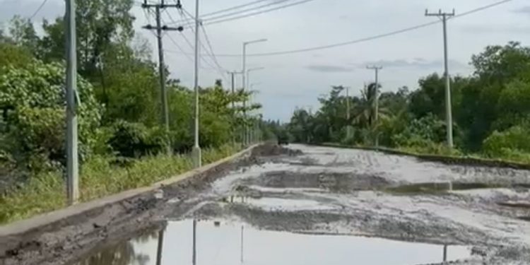 DPRD Provinsi Bengkulu Tagih Janji Pelindo Bangun Jalan Pelabuhan Menuju Teluk Sepang