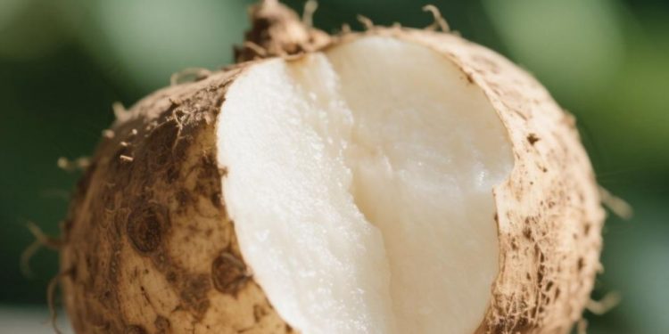 Cara Bikin Bengkoang untuk Perawatan Kulit Alami, Cek Manfaat dan Olahannya