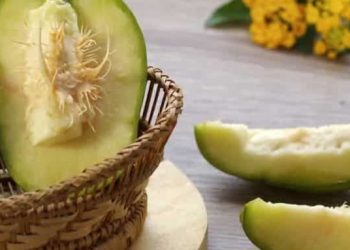 Cek Manfaat Buah Kedondong Ini! Ampuh Menjaga Kesehatan Mata