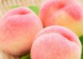 Hati-hati Makan Buah Persik, Konsumsi Berlebihan Bisa Sebabkan Hal Ini! Apa Saja?