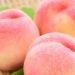 Hati-hati Makan Buah Persik, Konsumsi Berlebihan Bisa Sebabkan Hal Ini! Apa Saja?