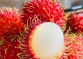 Aman dan Kaya Nutrisi, Cek Manfaat Konsumsi Buah Rambutan Ini untuk Ibu Hamil