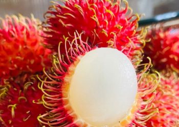 Aman dan Kaya Nutrisi, Cek Manfaat Konsumsi Buah Rambutan Ini untuk Ibu Hamil